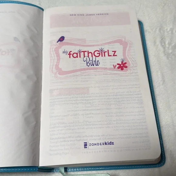 Bible case/Bible - Picture 6 of 12